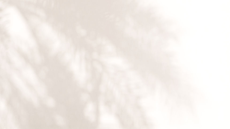 Palm Leaves Shadow