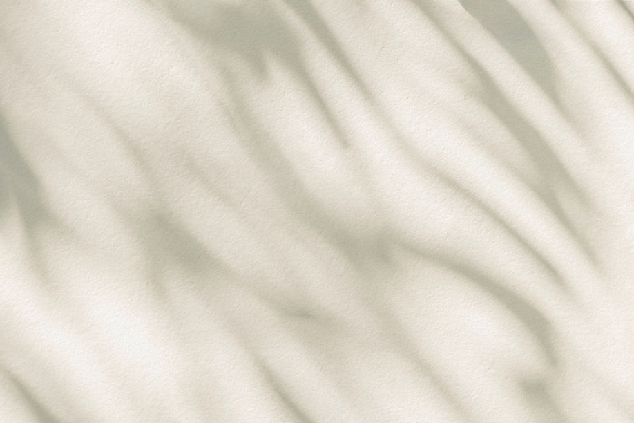Shadow dappled light leaves