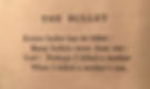 The poem "The Bullet" by Joseph Lee