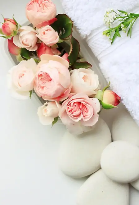 Pink roses
