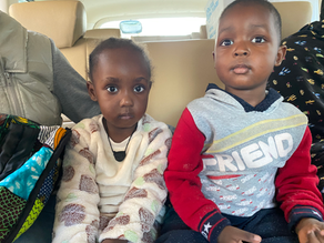 Refugee Immigration News!