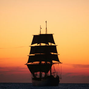 Wind-Powered Shipping in 2026: Where Do We Really Stand?