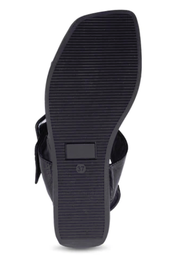 Thumbnail: Bueno - Felicity