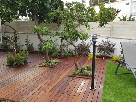 עיצוב גינת נוי