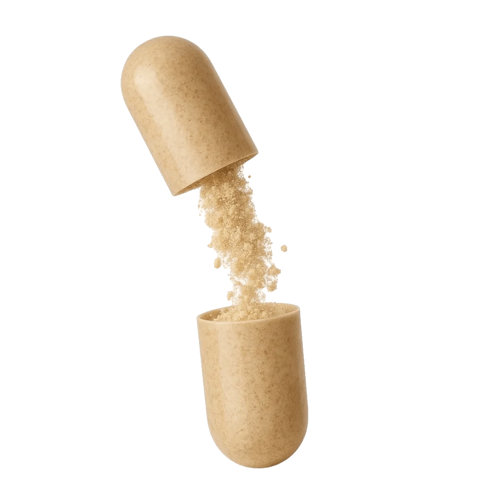 Kapsel WEBP.png