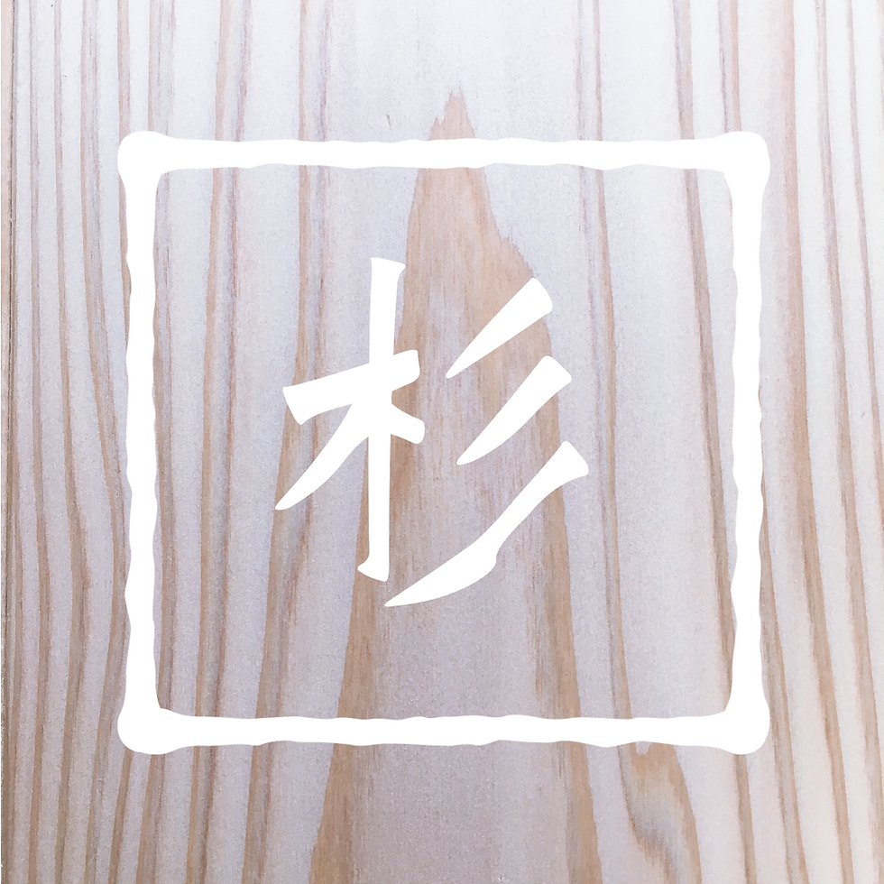 sugi