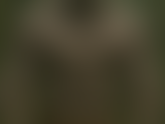 Shaheed – 'The Brother Beside the Throne'