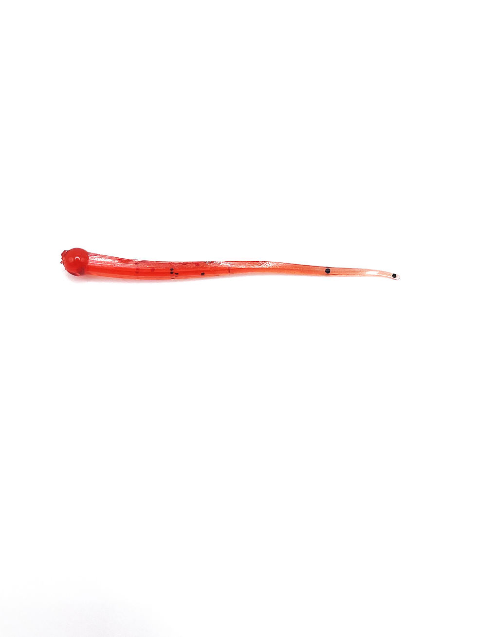 Thumbnail: Roundworm