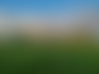 Suvitajad auu, millal tulete?