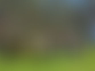 Ratsaorienteerumise kevadetapp