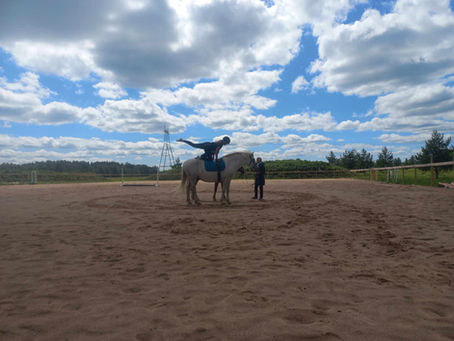 Veltsi tall käis meie juures voltižeerimas