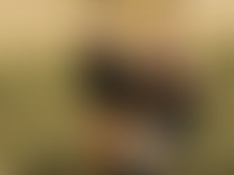 Aasta 2023 kokkuvõte