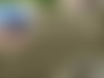 Algas registreerimine suvistesse noorte ratsalaagritesse!