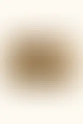 Zeïa Low Rise Mini Skirt ~ Gold Mirror
