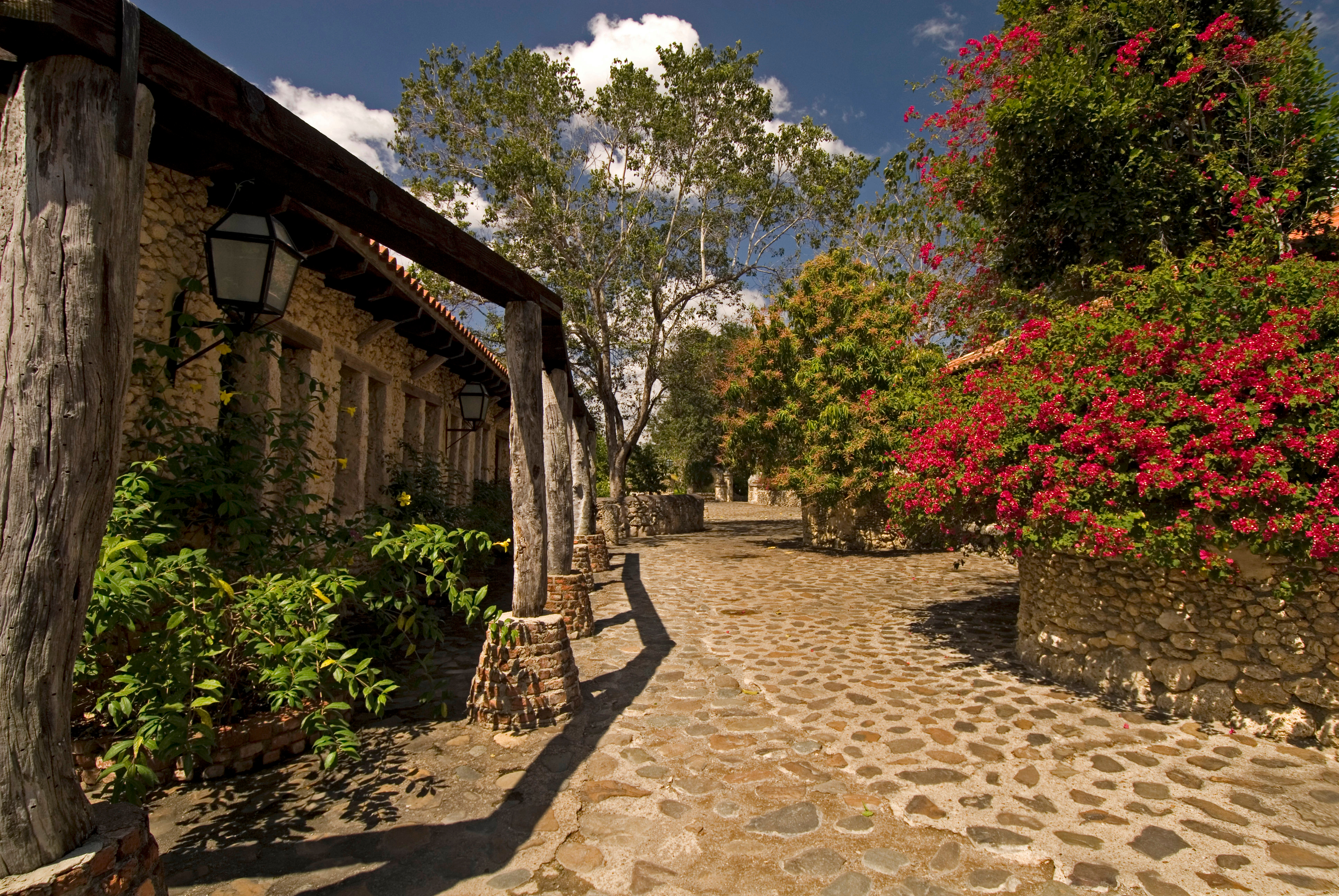 SEE & DO: ALTOS DE CHAVÓN