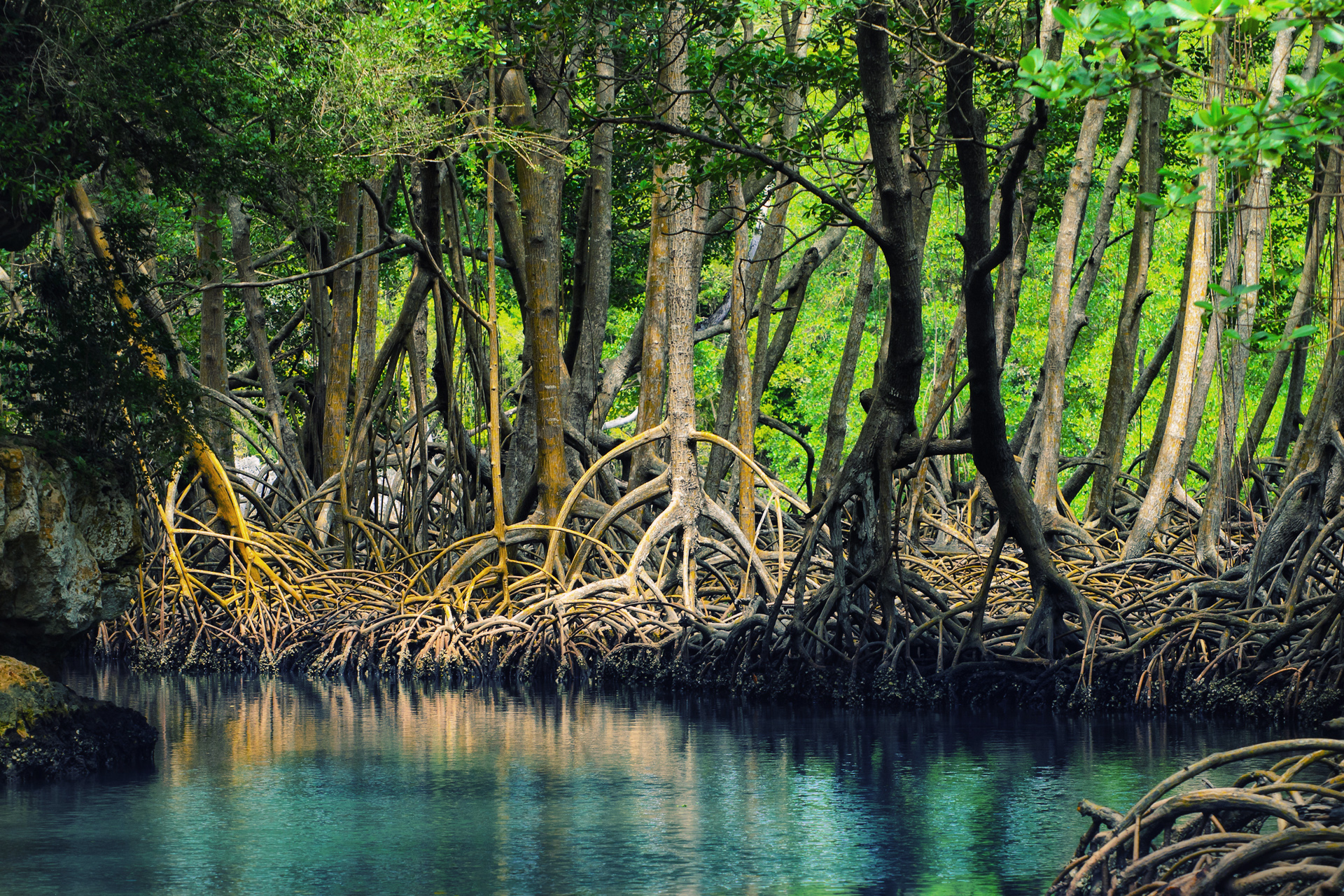 SEE: PARQUE NACIONAL LOS HAITISES