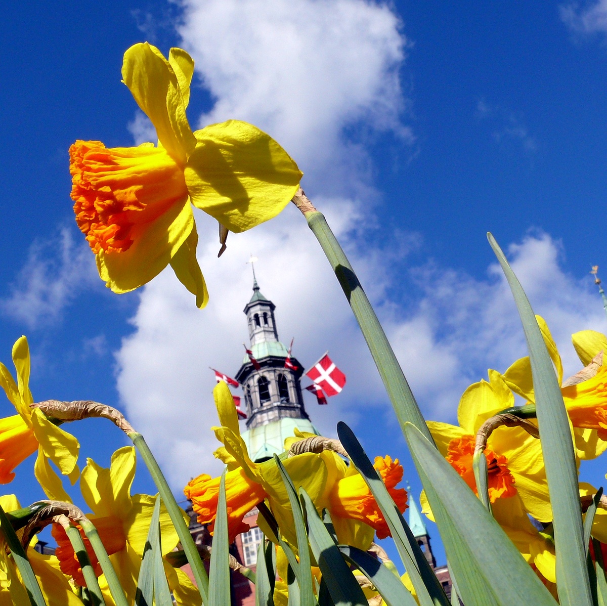 SEE & DO: TIVOLI GARDENS