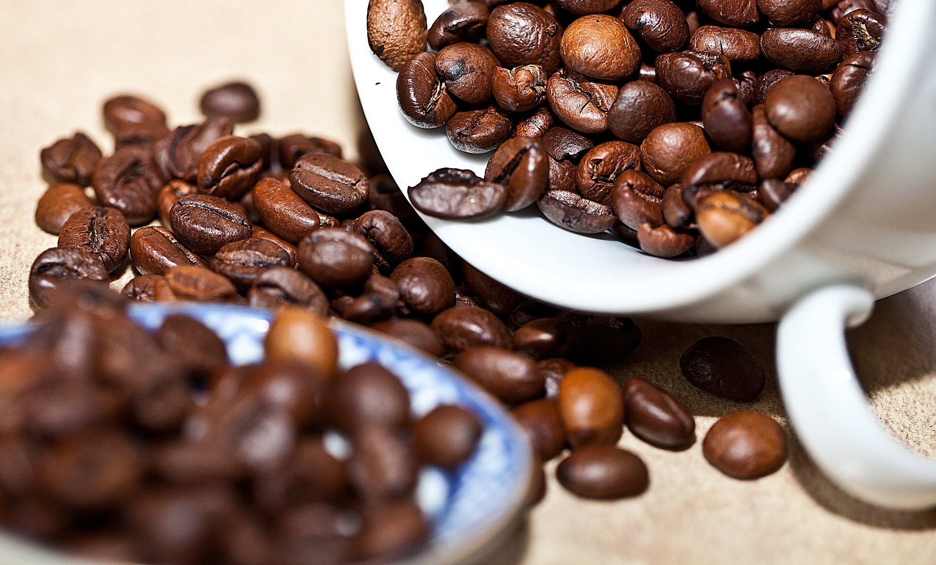 SHOP: COFFEE