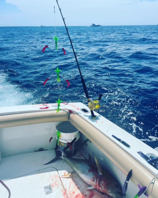 Thumbnail: That Slappin Flappin Bird skirted Daisy Chain w/ seaguar fluoro stinger