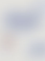 O Programa de Aquisição de Alimentos e a avaliação de políticas públicas: como determinar o sucesso de um programa governamental.