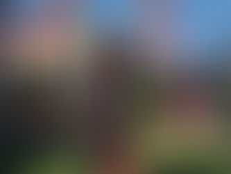 Ready to Run Interview: Van Der Merwe’s Training Nets Big Win at Life Time Tri CapTex