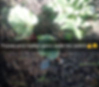 image5.jpeg