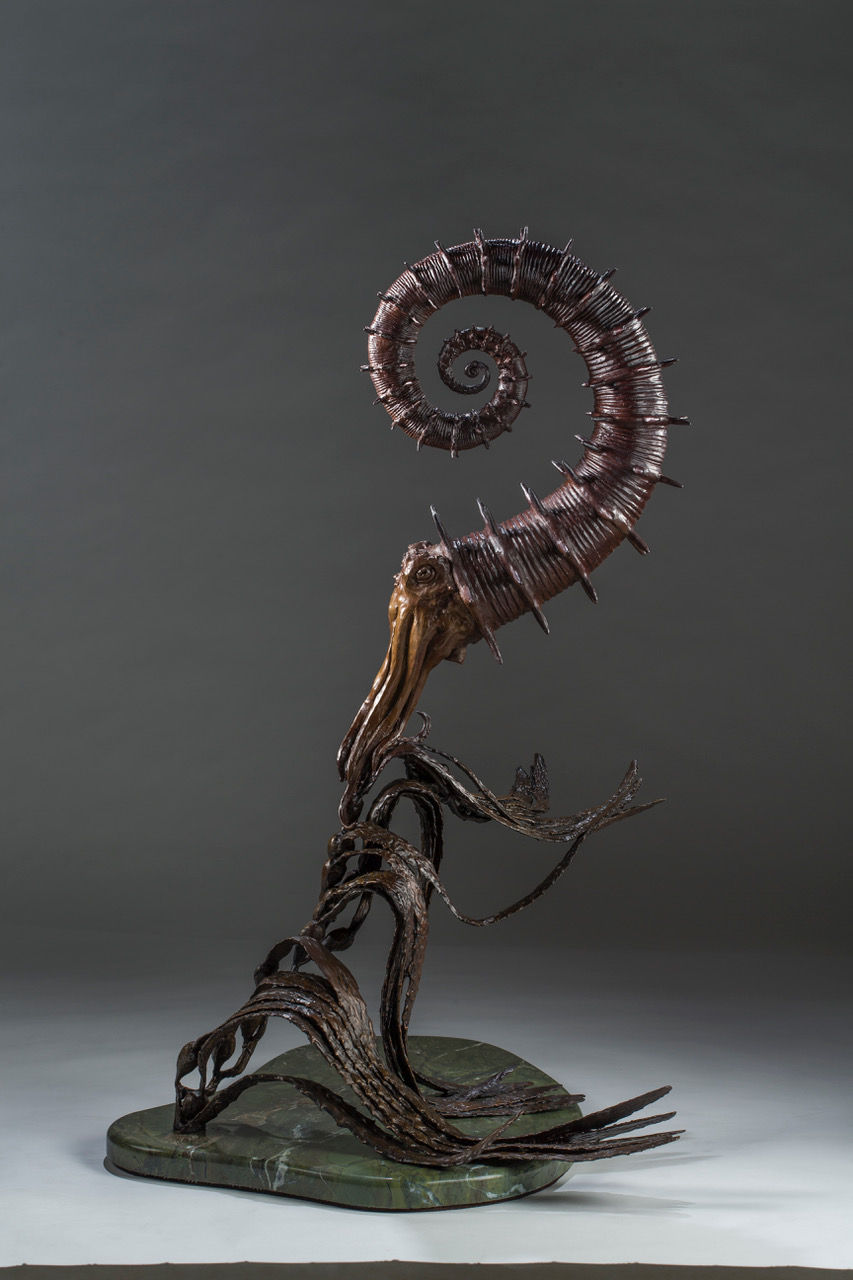 Heteromorphic Ammonite