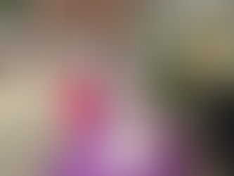 ‘No human should be without food’: Farmers market in Mattapan providing free, healthy meals for kids