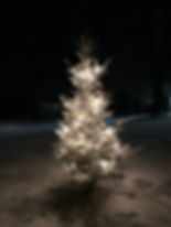IMG_0406.jpeg