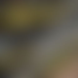 When Stories Become Stereotypes