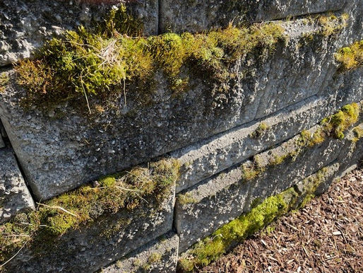 When Stories Become Stereotypes