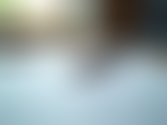 行政書士の業務範囲と行政書士に依頼可能な手続き一覧