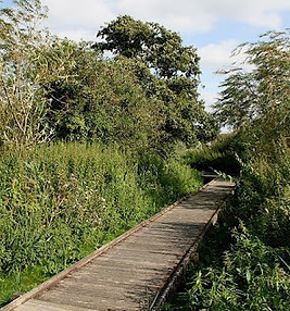 holt island photo.jpg