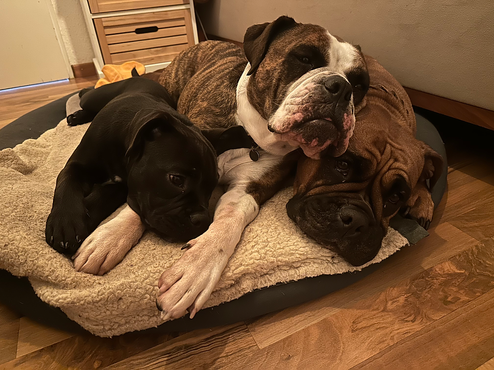 Zu dritt ist man weniger alleine