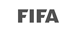 fifa.png