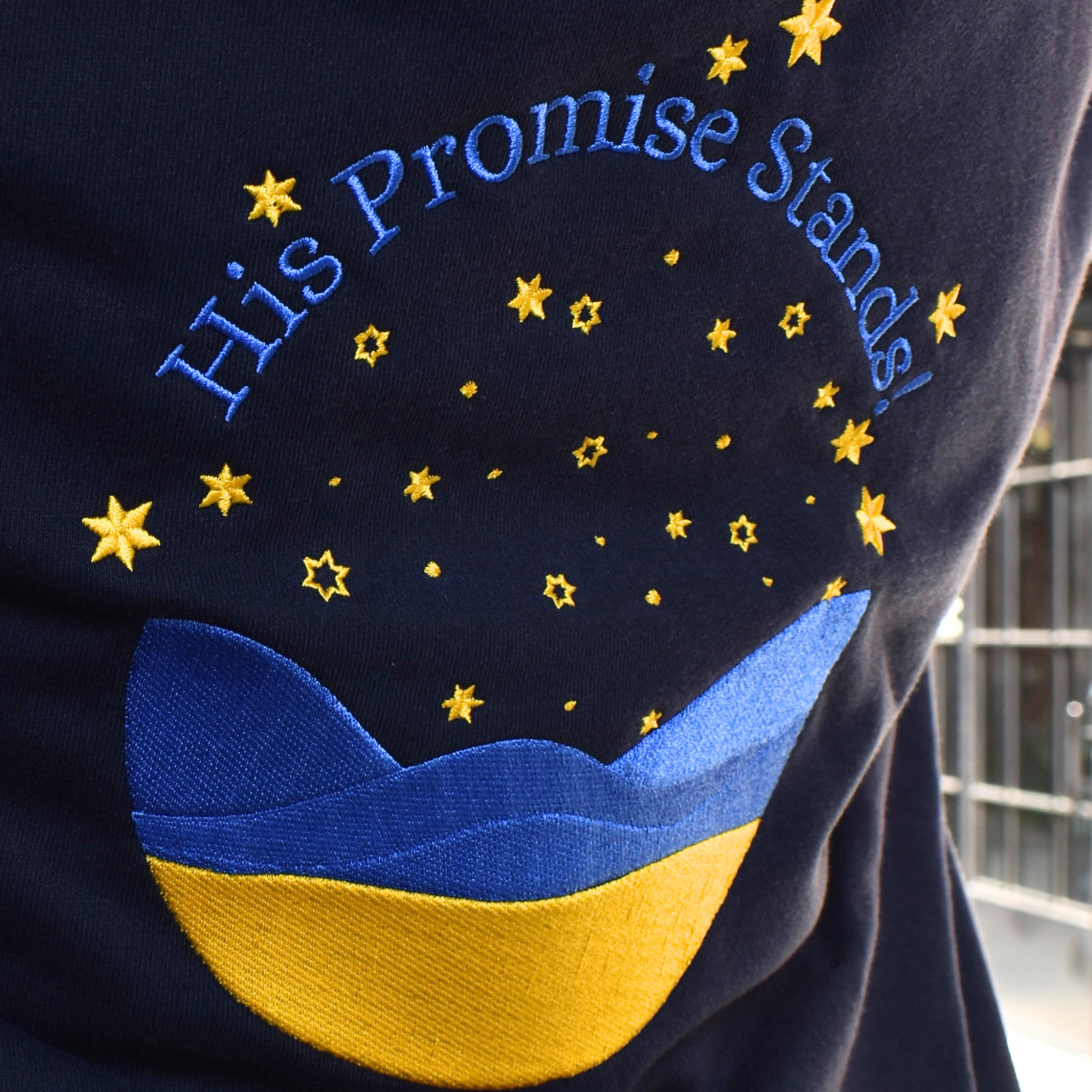 His Promise Stands Hoodie | Genesis 22:17–18