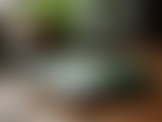 Comprehensive Guide to South Africa Visa Options