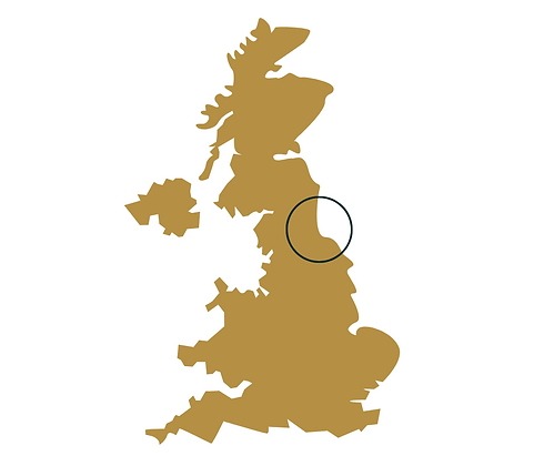 Webpage graphic (2).png