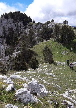 photo de relief des rochers du Parquet