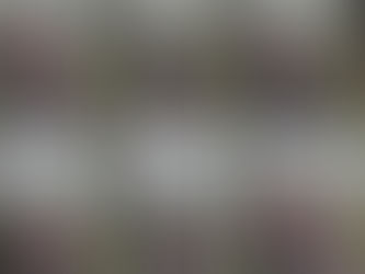 Sortie club groupe SingleTrack