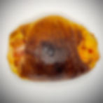 13. Cartocciata Würstchen