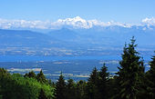 Accompagnement naturopathique dans le pays de gex pour retrouver l'énergie de nos montagnes
