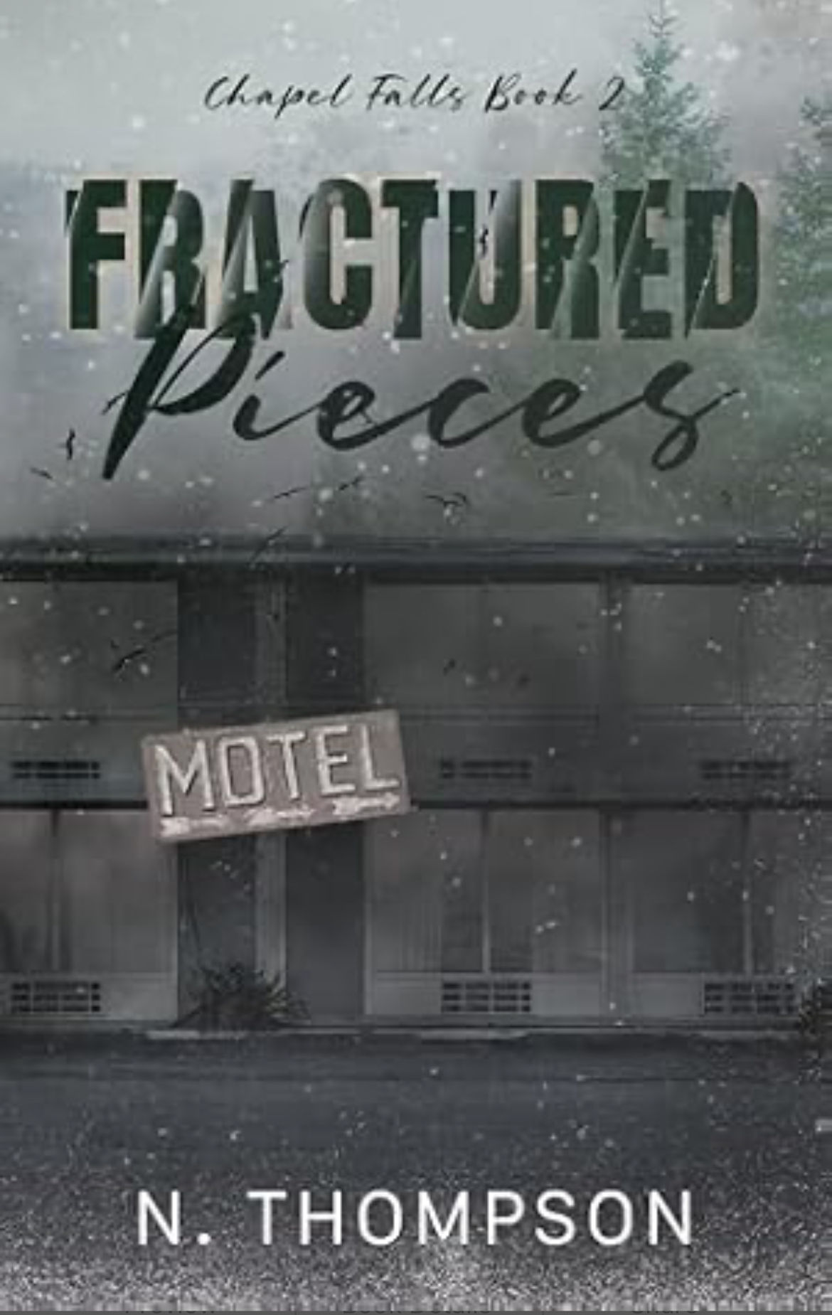 Fractured Pieces Signed by N. Thompson