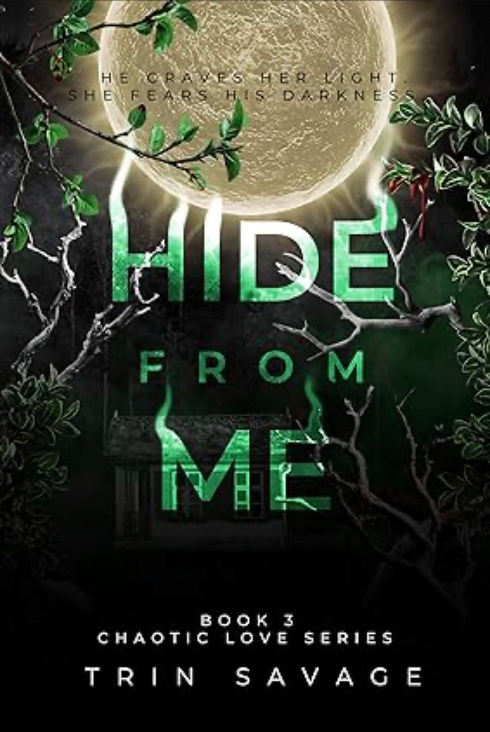 Hide From Me by Trin Savage