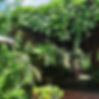 Jardines en Valledupar - Casa de Los Santos Reyes Hotel Boutique