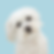 Untitled - 2025-01-19T170335.954.png