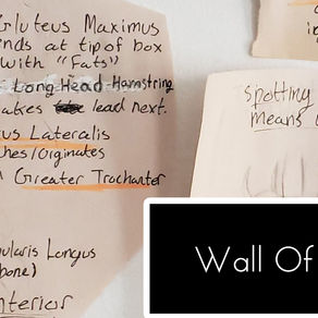 A Way Of Studying Drawing And Retaining Information