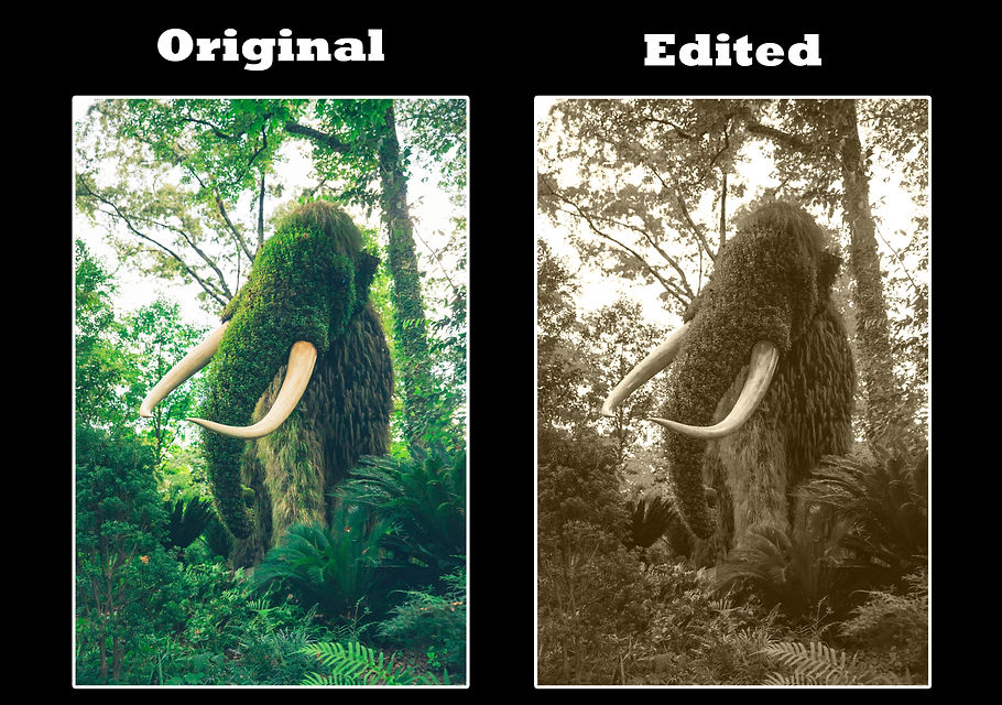 mammoth.jpg