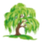 Willow Rooting Hormone