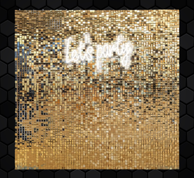 Selfie Magic Mirror Shimmer Wall Backdrop